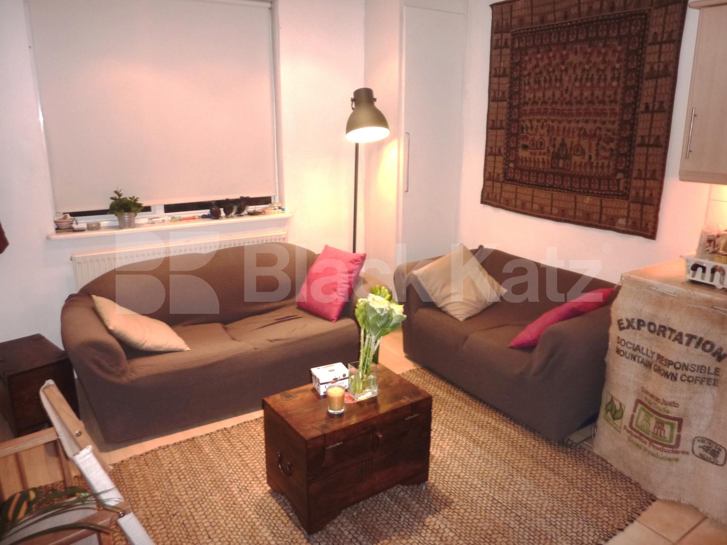 			NEW INSTRUCTION!, 1 Bedroom, 1 bath, 1 reception Flat			 Wicklow Street, KINGS CROSS